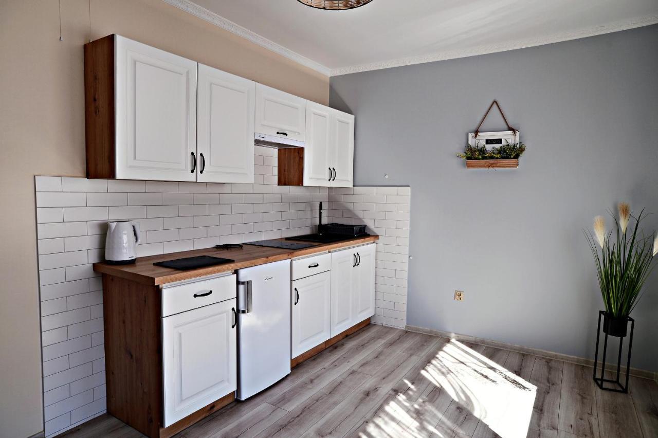 Apartament Z Tarasem I Pokoje Klimatyzowane -Drozdowka Solina 索利纳 外观 照片