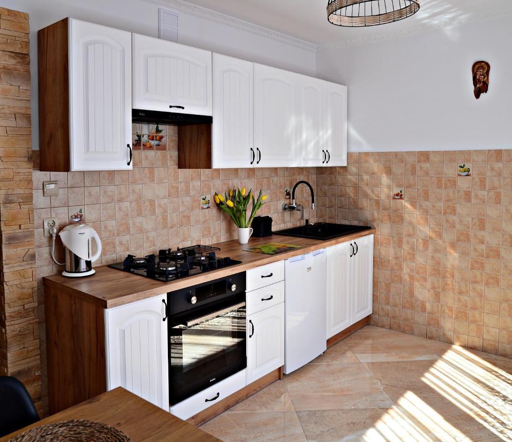 Apartament Z Tarasem I Pokoje Klimatyzowane -Drozdowka Solina 索利纳 外观 照片
