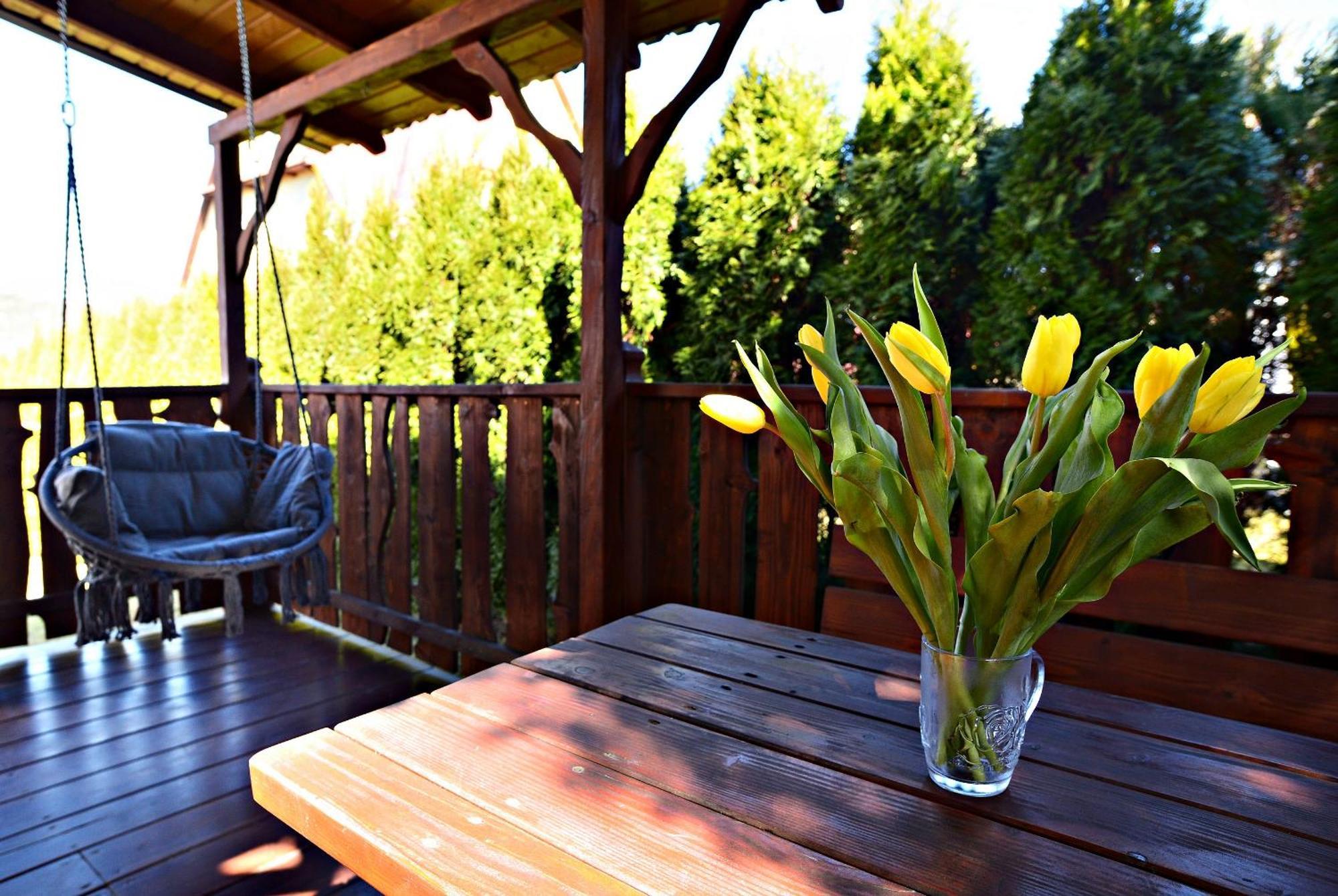 Apartament Z Tarasem I Pokoje Klimatyzowane -Drozdowka Solina 索利纳 外观 照片