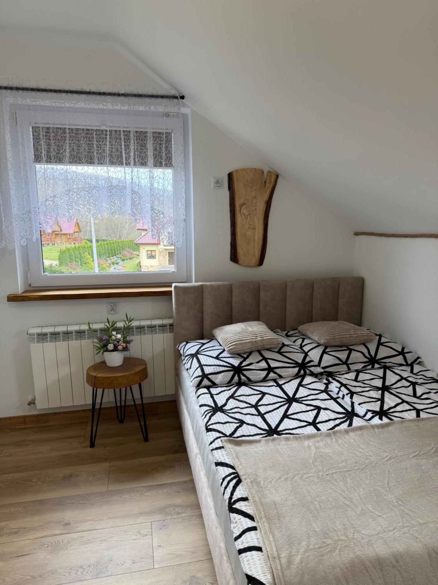 Apartament Z Tarasem I Pokoje Klimatyzowane -Drozdowka Solina 索利纳 外观 照片