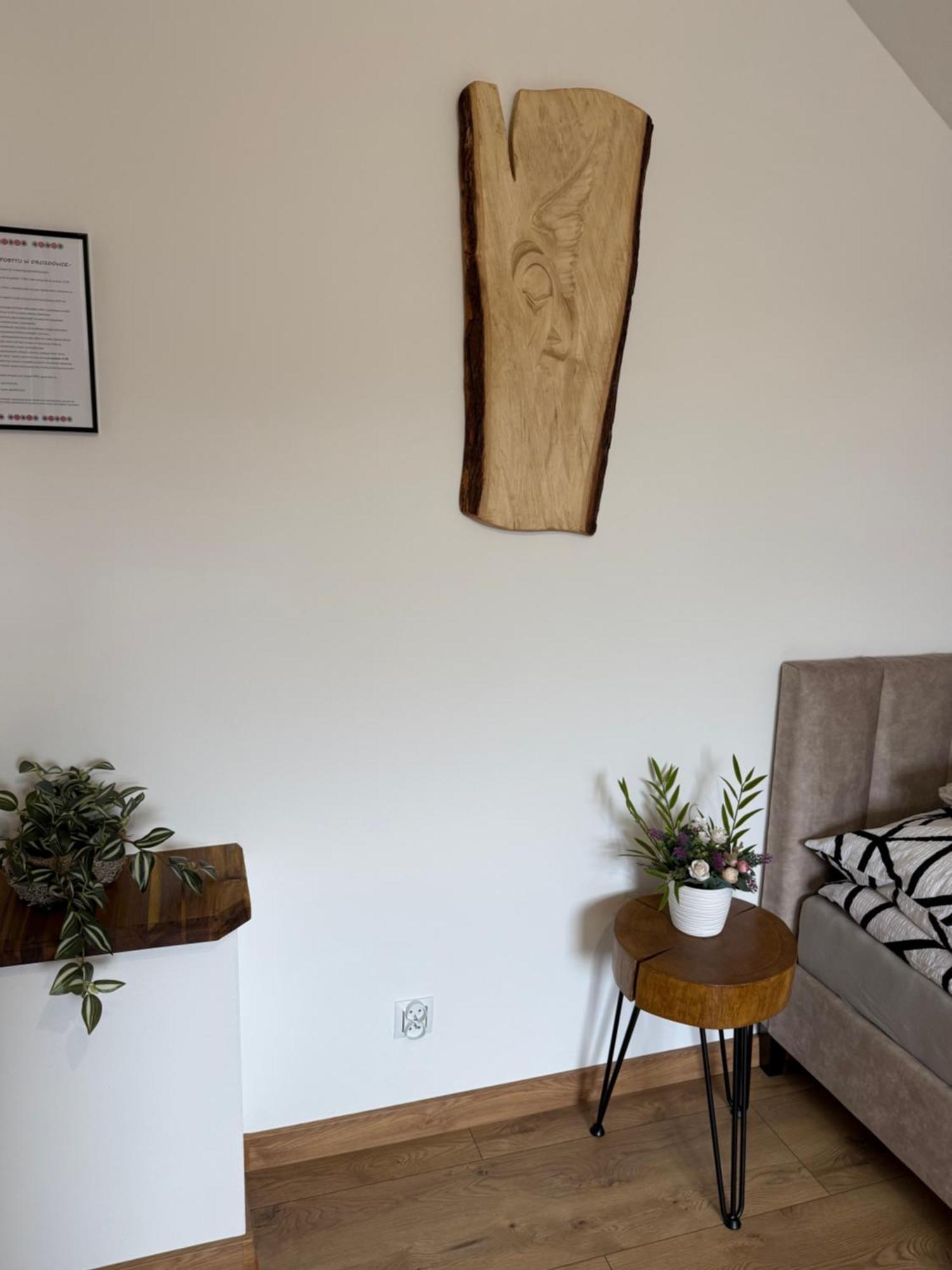 Apartament Z Tarasem I Pokoje Klimatyzowane -Drozdowka Solina 索利纳 外观 照片