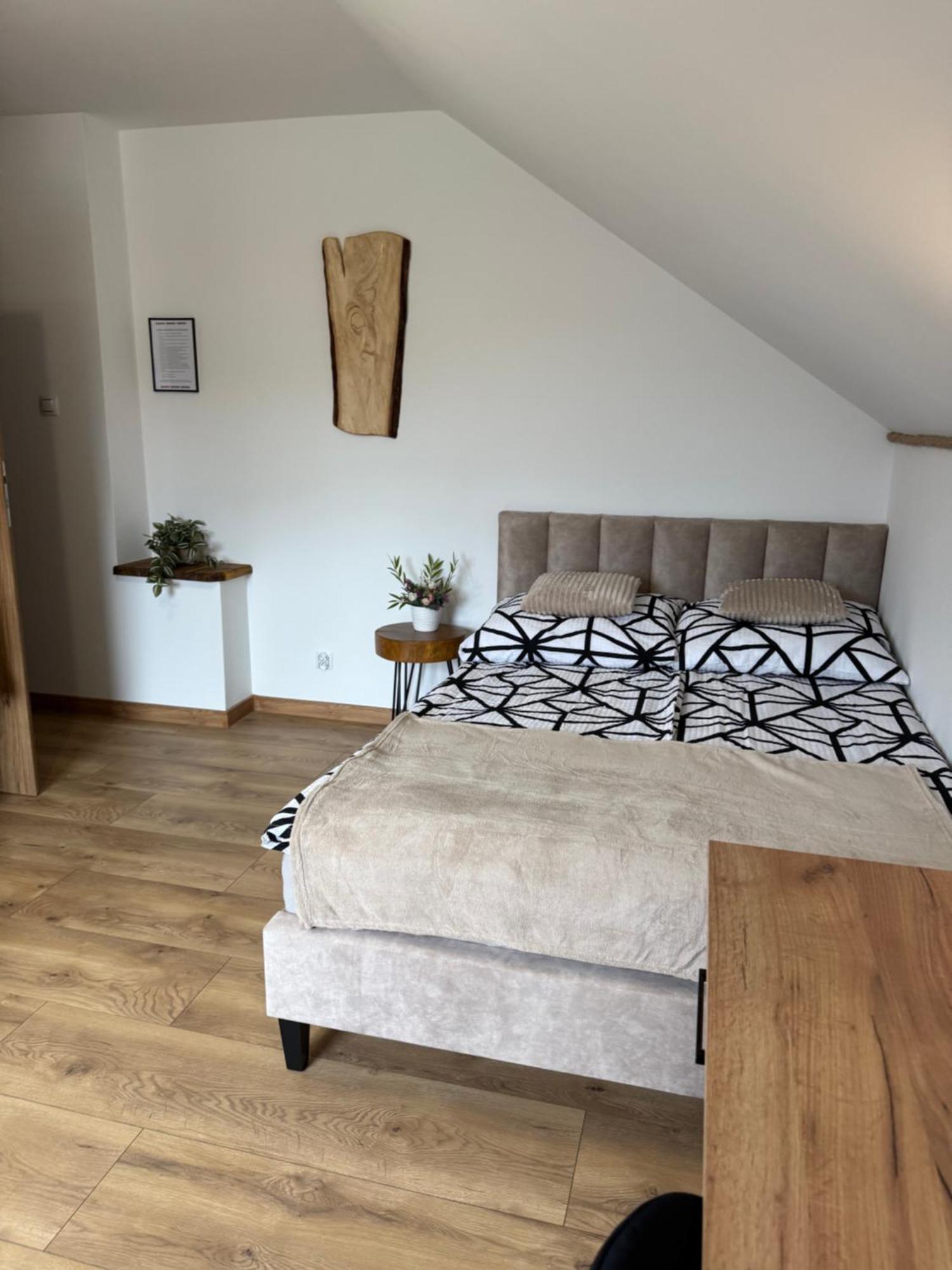 Apartament Z Tarasem I Pokoje Klimatyzowane -Drozdowka Solina 索利纳 外观 照片