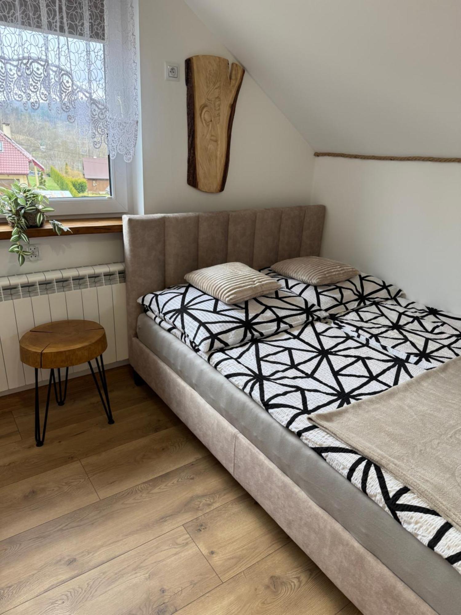 Apartament Z Tarasem I Pokoje Klimatyzowane -Drozdowka Solina 索利纳 外观 照片