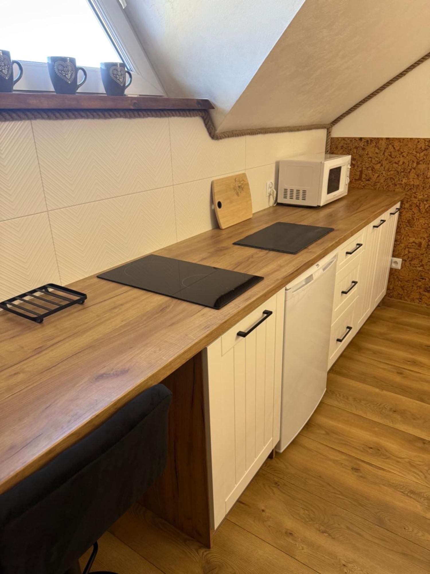 Apartament Z Tarasem I Pokoje Klimatyzowane -Drozdowka Solina 索利纳 外观 照片